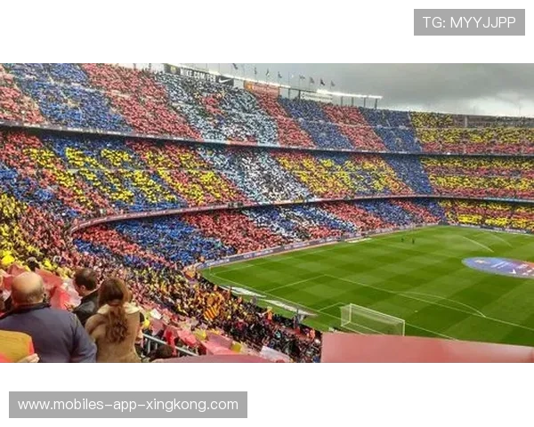 诺坎普票务治理模式的国际比较研究 诺坎普票务治理模式的国际比较研究