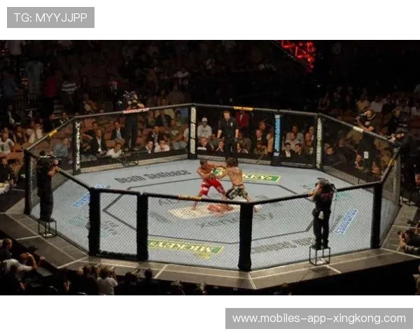 UFC锁技成功擂台瞬间爆发惊叹